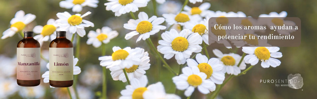 Cómo los aromas estimulantes ayudan a potenciar tu rendimiento
