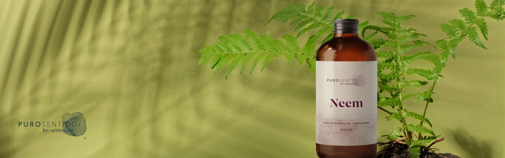 Los secretos y beneficios del aceite de Neem en Colombia