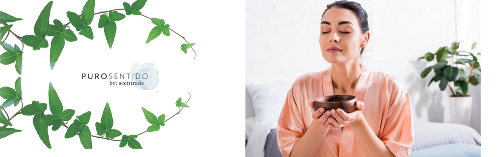 ¿Qué es la aromaterapia? Usa los aromas a tu favor