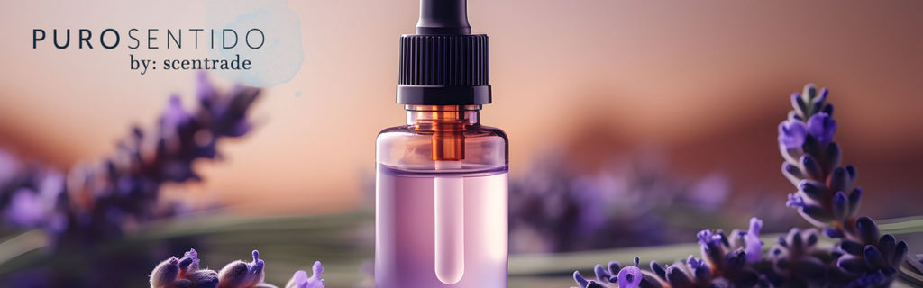 Extracción y clasificación de aceites esenciales naturales