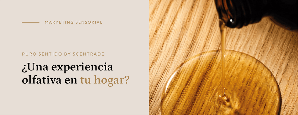 ¿Una experiencia olfativa en tu hogar?