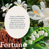 Fragancia Fortune