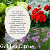 Fragancia  Golden Citrus