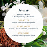 Fragancia Fortune